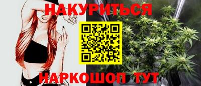 индика Пенза