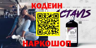 индика Пенза