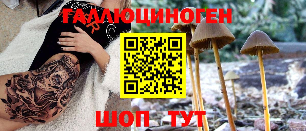 Спасск-Дальний  Псилоцибиновые грибы Magic Shrooms  Вход с VPN 